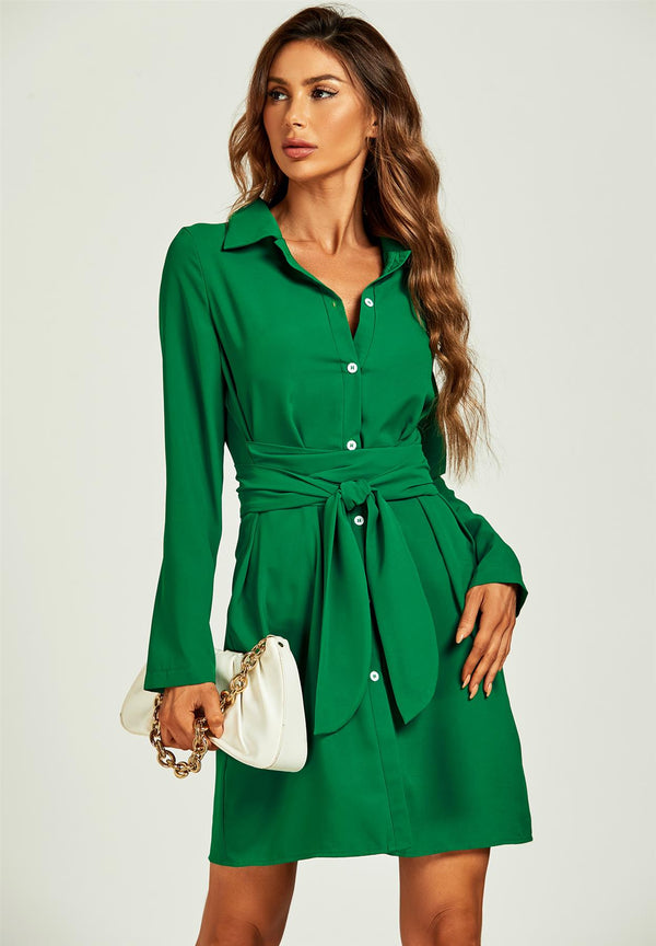 Shirt Mini Wrap Dress In Green